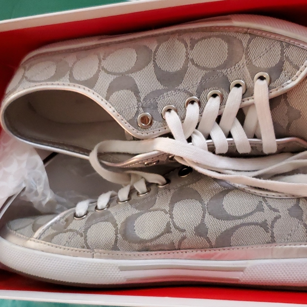 Silver Coach Shoes